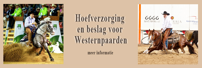 beslag voor westernpaarden